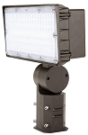 100 Watt with Slip Fitter Mount