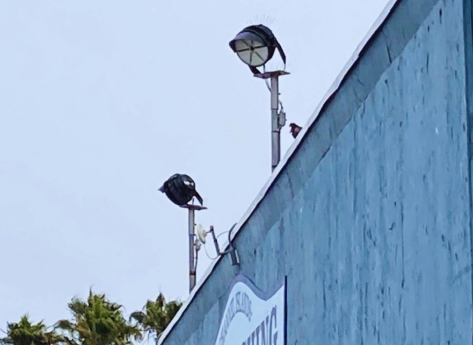 led stadium sports lights