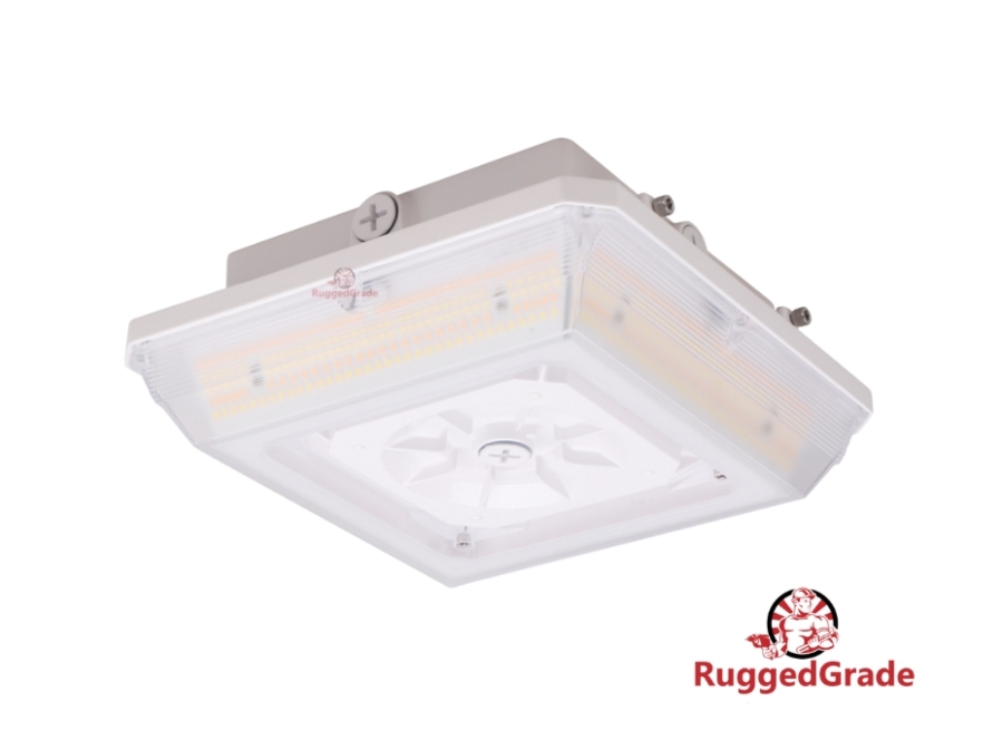 Canopy Lights