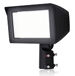 150W Outdoor LED Flood Light 1 - 3/4 view, bronze, rectangular led array with clear tempered glass lens, integrated heat sink
