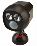 2 LED Spot Light with Motion Sensor