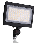 80 W Kivo II LED Flood Light