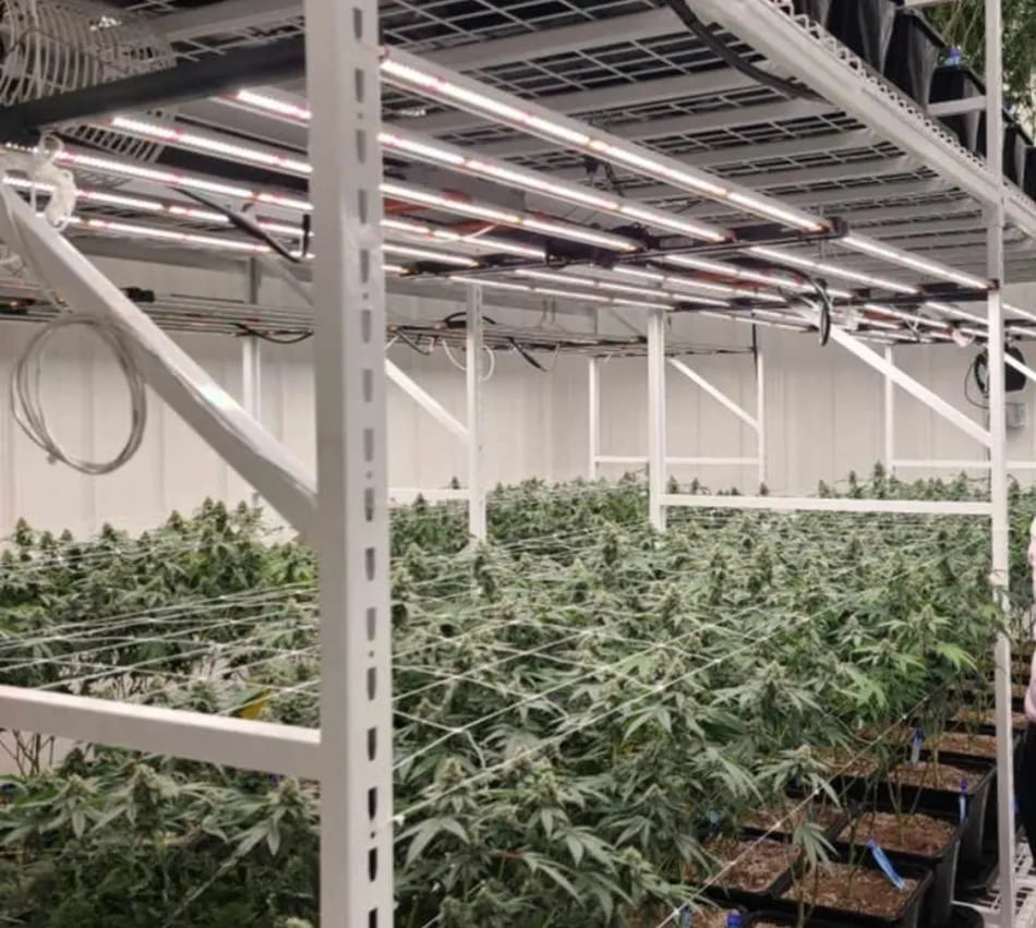 LED Grow Lights
